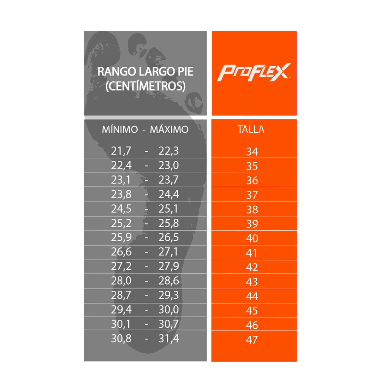 Botin de seguridad Proflex 122C